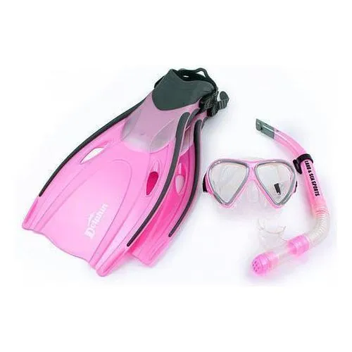 421164     ~ DOLPHIN SNORKELING SET