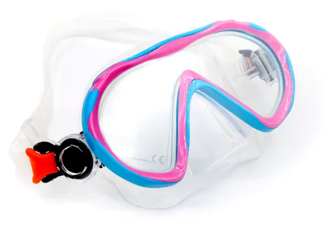 Sharkskin Junior Mask & Dry Snorkel Set With Mesh Bag   Free Anti-fog